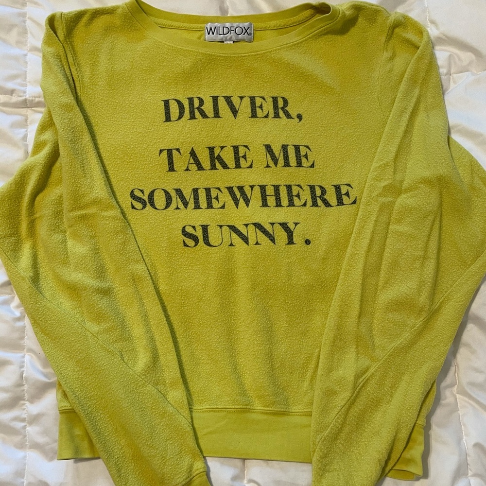 Wildfox sweater